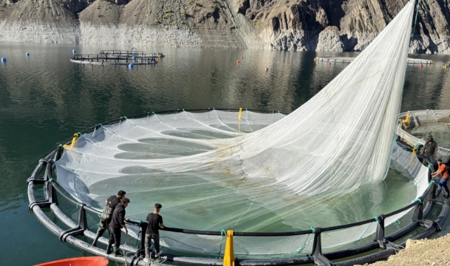 Karadeniz'in o kentinden 67 ülkeye Türk somonu ihracatı (Foto Galeri) 