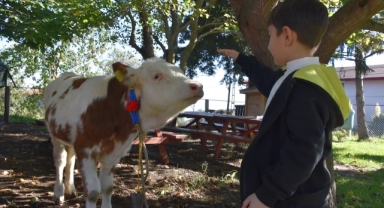 O kentte Toprak Ana Köy Yaşam Merkezi, öğrencilerin doğa ile buluşma mekanı oldu (Foto Galeri)
