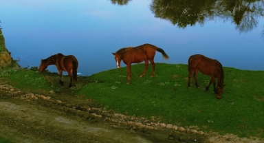 Samsun’un Doğal Güzelliği Yağışlarla Yeniden Hayat Buldu (Foto Galeri)