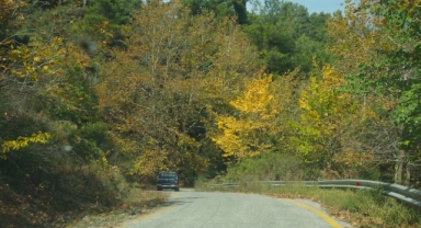 Sonbahar Güzelliği O Yaylada Renk Cümbüşüne Dönüştü (Foto Galeri)