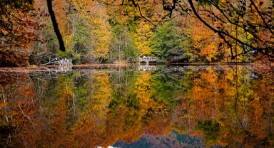 Sonbahar renklerine bürünen 
