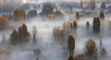 Unesco Mirası Hevsel Bahçeleri Sisle Adeta Gizemli Bir Görünüme Büründü (Foto Galeri)