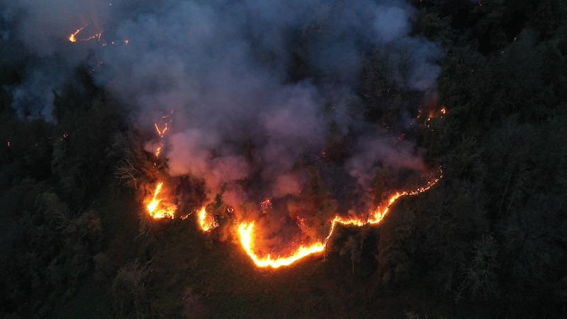 Artvin'deki örtü yangını kontrol altına alındı (Foto Galeri)