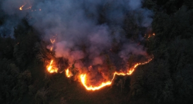 Artvin'deki örtü yangını kontrol altına alındı (Foto Galeri)