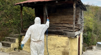 Giresun'da fındık zararlısına karşı etkin mücadele (Foto Galeri) 