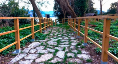 Eşsiz Doğaya Sahip Giresun Adası’na Özenli Dokunuş (Foto Galeri)