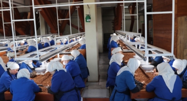 Karadeniz’in Üreten Kadınları İhracatı Sırtladı (Foto Galeri) 