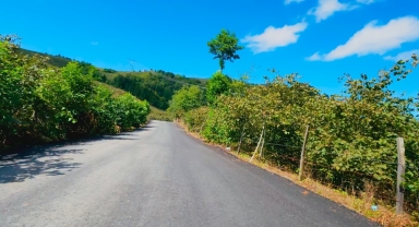 Bektaş Yayla Yolu’nda Asfalt Mesaisi (Foto Galeri) 