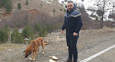 Aç kalan köpeği elleriyle besledi