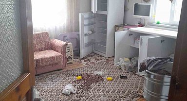 Ayılar yayla evlerine dadandı