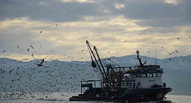 Balıkçıların yüzü sezonda palamut ile güldü