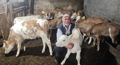 Başvuru için 15 Haziran son gün