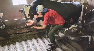 Fenomen boğasına doğum gününde böyle sürpriz yaptı