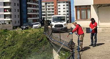 İlaçlama çalışmaları yoğunlaştı