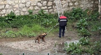 Kavak'ta yürek ısıtan operasyon