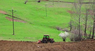 Ordu'da atıl araziler tarımla buluşuyor