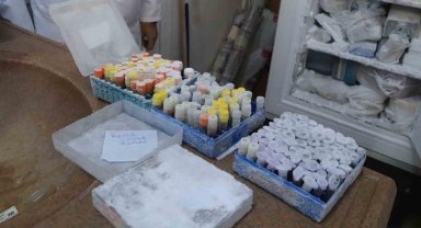 Türkiye için çok önemli bir mantar koleksiyonu: 25 yılda doğadan toplandı