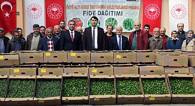 195 bin sebze fidesi toprakla buluşacak