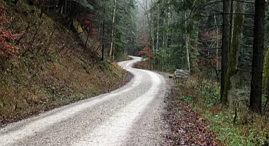 ORMAN YOLLARINDA YENİYOL YAPIMI