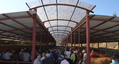 Asarcık Hayvan Pazarı açıldı