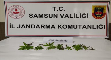 Çarşamba'da uyuşturucu operasyonunda 1 zanlı yakalandı