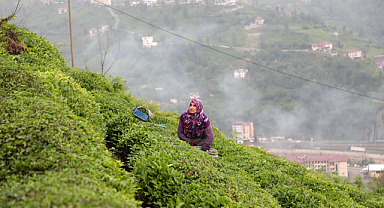 Deprem bölgesinde yapılacak