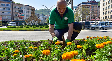 Giresun yeni çiçeklerle rengarenk olacak