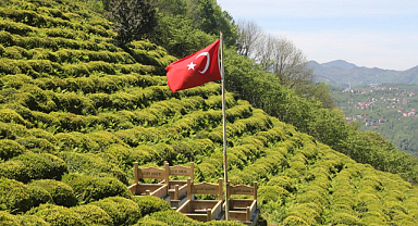 Güce'de şehit mezarlarında düzenleme çalışması yapıldı