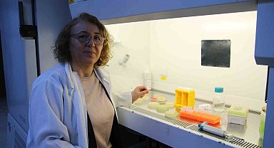 Hastalar antibiyotik kullanılmadan tedavi olabilecek
