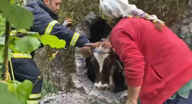 İtfaiyenin inek kurtarma operasyonu