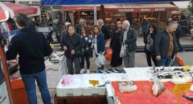 Kültür balıklarına ilgi yoğun