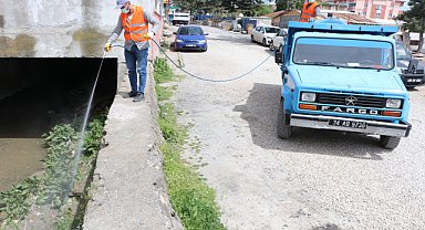 Larva ilaçlaması yapıldı