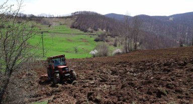 Ordu'da tarım atağı
