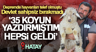 'Gel koyununu al dediler, şok yaşadım'