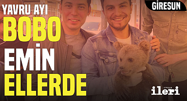 Yavru ayı 'Bobo' emin ellerde