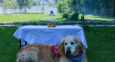 'Altın' emekli oldu