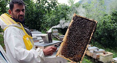 Arılar yağışlı hava şartlarından olumsuz etkilendi