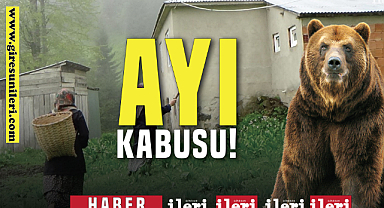 Ayı kabusu!