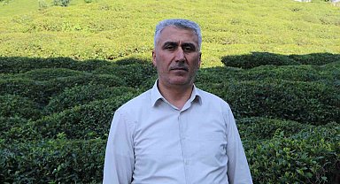 Çay üreticisinin tercihi özel sektör firmaları oldu