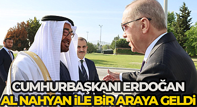 Cumhurbaşkanı Erdoğan, BAE Devlet Başkanı Al Nahyan ile bir araya geldi