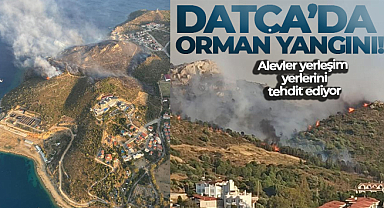 Datça’da orman yangını