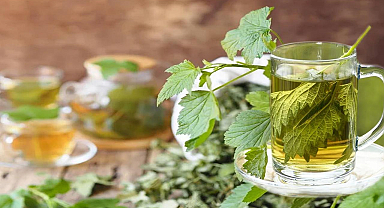 Isırgan otu çayı nasıl yapılır, faydaları nelerdir?
