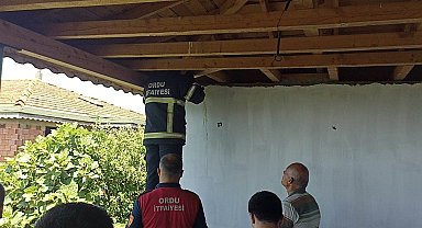 İtfaiye sokak hayvanlarını kurtardı