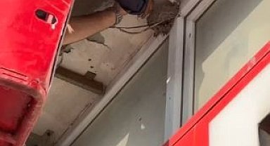 İtfaiyeden 'kuş' operasyonu