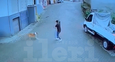 KÖPEĞİN SALDIRISINDAN BAKIN NASIL KURTULDU!