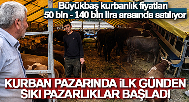 Kurban pazarında ilk günden sıkı pazarlıklar başladı