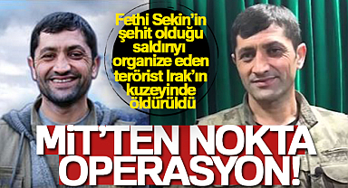 MİT nokta operasyonlara devam ediyor