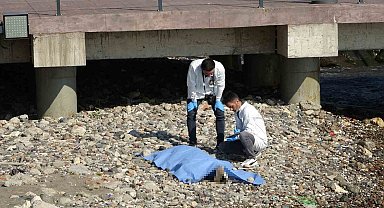 Ordu'da deniz kenarında erkek cesedi bulundu