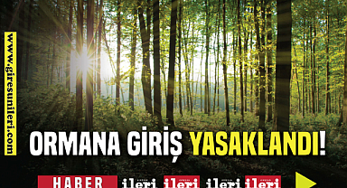 Ormanlık alanlara girişler yasaklandı