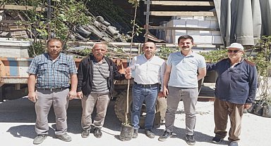 Üreticilere Trabzon hurması fidanı dağıtıldı